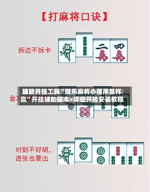 辅助开挂工具“微乐麻将小程序怎样赢”开挂辅助脚本+详细开挂安装教程-第3张图片