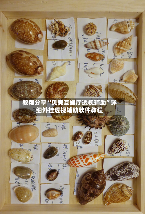 教程分享“贝壳互娱厅透视辅助”详细外挂透视辅助软件教程-第2张图片