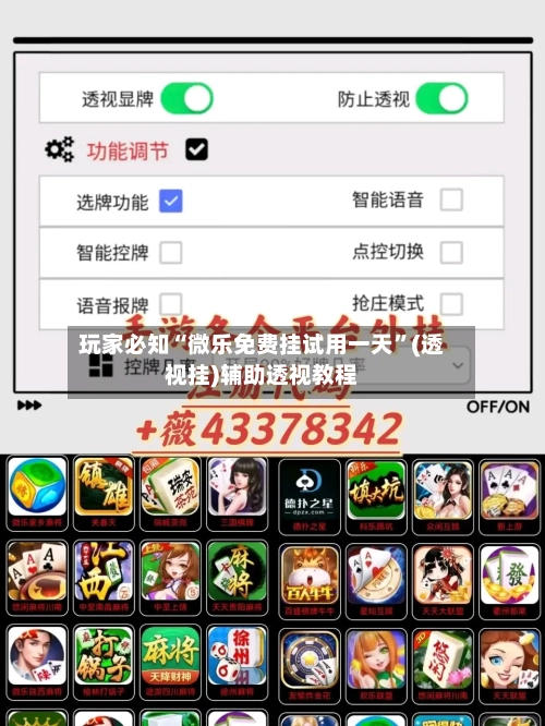 玩家必知“微乐免费挂试用一天”(透视挂)辅助透视教程-第3张图片