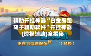 辅助开挂神器“白金岛跑胡子辅助软件	”开挂神器{透视辅助}全揭秘-第2张图片