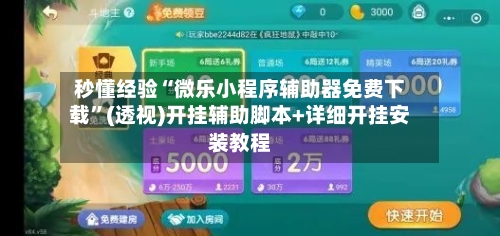秒懂经验“微乐小程序辅助器免费下载	”(透视)开挂辅助脚本+详细开挂安装教程-第2张图片