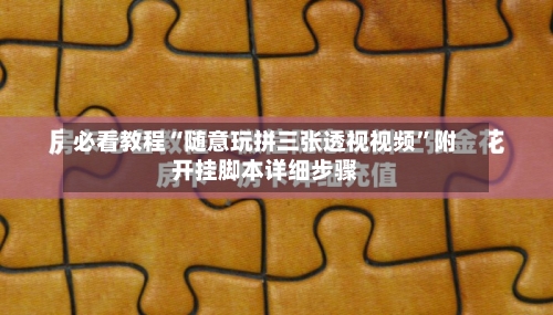 必看教程“随意玩拼三张透视视频”附开挂脚本详细步骤-第2张图片