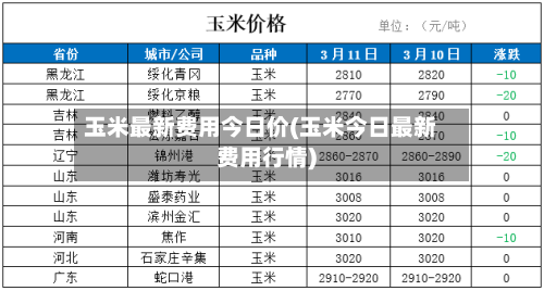 玉米最新费用今日价(玉米今日最新费用行情)-第2张图片