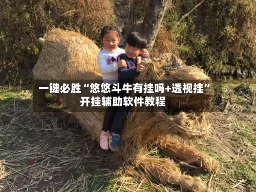一键必胜“悠悠斗牛有挂吗+透视挂”开挂辅助软件教程-第3张图片