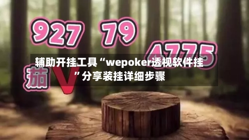 辅助开挂工具“wepoker透视软件挂”分享装挂详细步骤-第2张图片
