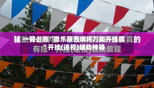 一键必胜“微乐陕西麻将万能开挂器”开挂(透视)辅助神器-第3张图片