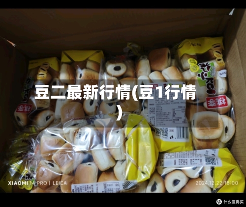 豆二最新行情(豆1行情)