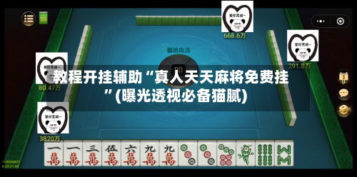 教程开挂辅助“真人天天麻将免费挂	”(曝光透视必备猫腻)-第2张图片