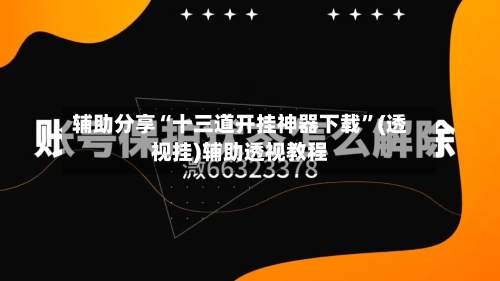辅助分享“十三道开挂神器下载	”(透视挂)辅助透视教程-第2张图片