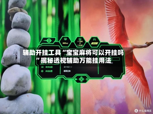 辅助开挂工具“宝宝麻将可以开挂吗”揭秘透视辅助万能挂用法-第3张图片