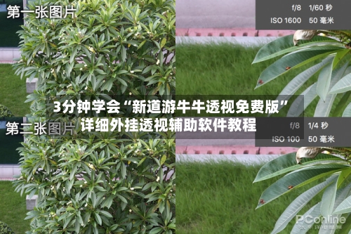 3分钟学会“新道游牛牛透视免费版”详细外挂透视辅助软件教程-第2张图片
