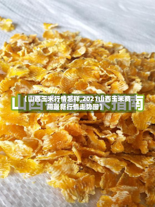 【山西玉米行情怎样,2021山西玉米费用最新行情走势图】-第2张图片