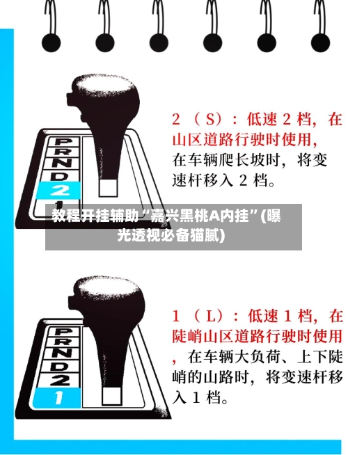 教程开挂辅助“嘉兴黑桃A内挂”(曝光透视必备猫腻)-第2张图片