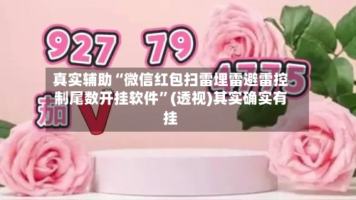 真实辅助“微信红包扫雷埋雷避雷控制尾数开挂软件”(透视)其实确实有挂-第2张图片
