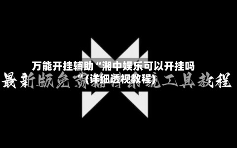 万能开挂辅助“湘中娱乐可以开挂吗”(详细透视教程)-第2张图片
