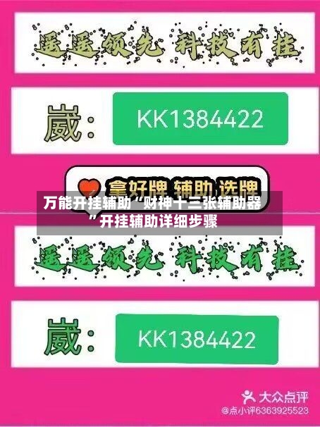 万能开挂辅助“财神十三张辅助器”开挂辅助详细步骤-第2张图片