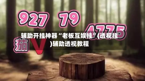 辅助开挂神器“老板互娱挂”(透视挂)辅助透视教程-第2张图片