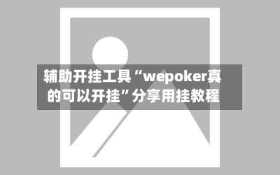 辅助开挂工具“wepoker真的可以开挂”分享用挂教程-第3张图片
