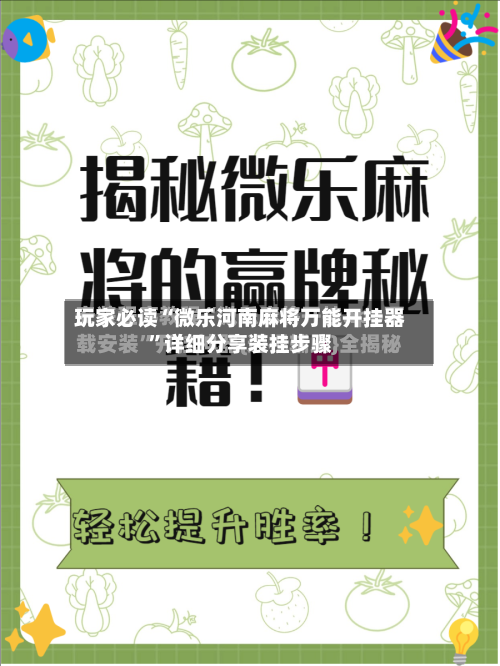 玩家必读“微乐河南麻将万能开挂器”详细分享装挂步骤-第2张图片