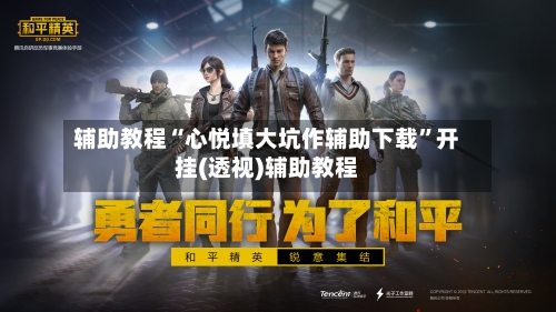 辅助教程“心悦填大坑作辅助下载”开挂(透视)辅助教程-第2张图片