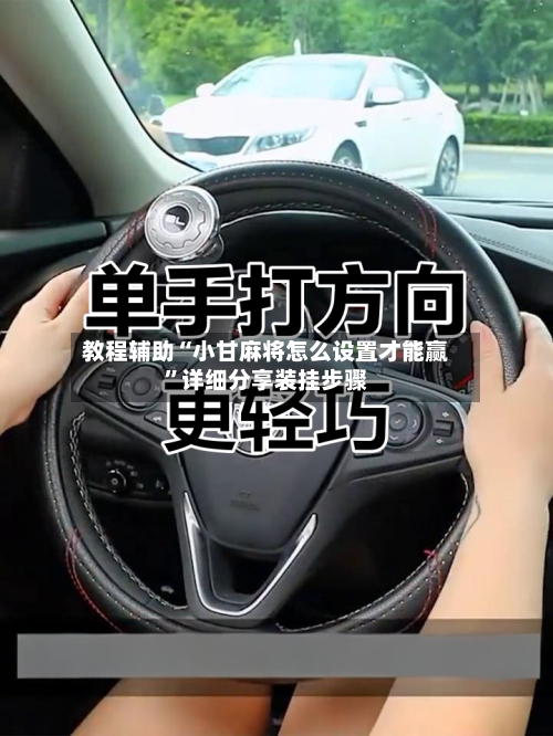 教程辅助“小甘麻将怎么设置才能赢”详细分享装挂步骤-第3张图片