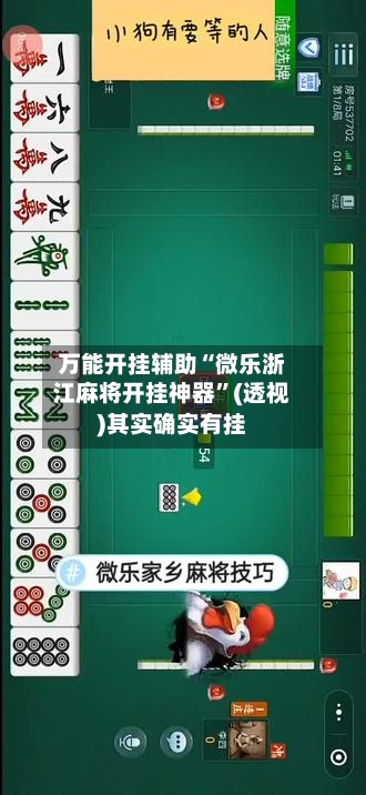 万能开挂辅助“微乐浙江麻将开挂神器”(透视)其实确实有挂-第3张图片