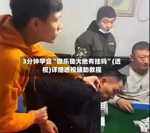 3分钟学会“微乐锄大地有挂吗”(透视)详细透视辅助教程-第2张图片