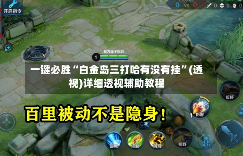 一键必胜“白金岛三打哈有没有挂”(透视)详细透视辅助教程-第3张图片