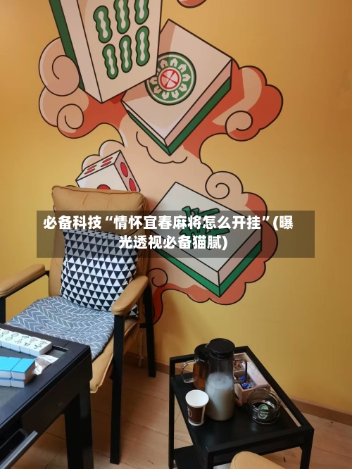 必备科技“情怀宜春麻将怎么开挂”(曝光透视必备猫腻)-第2张图片