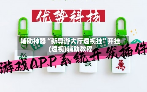 辅助神器“新导游大厅透视挂	”开挂(透视)辅助教程-第3张图片