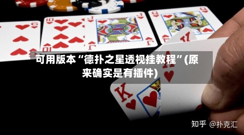 可用版本“德扑之星透视挂教程”(原来确实是有插件)-第2张图片