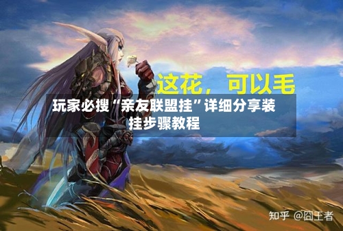 玩家必搜“亲友联盟挂”详细分享装挂步骤教程-第2张图片