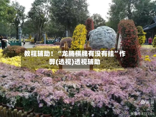 教程辅助！“龙腾棋牌有没有挂”作弊(透视)透视辅助-第3张图片