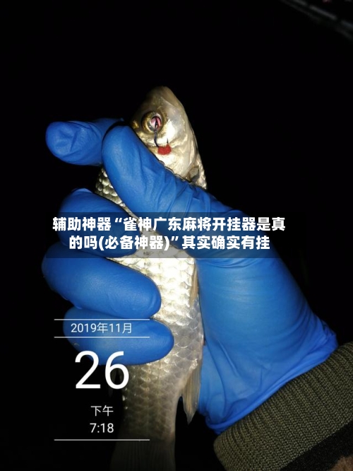 辅助神器“雀神广东麻将开挂器是真的吗(必备神器)”其实确实有挂