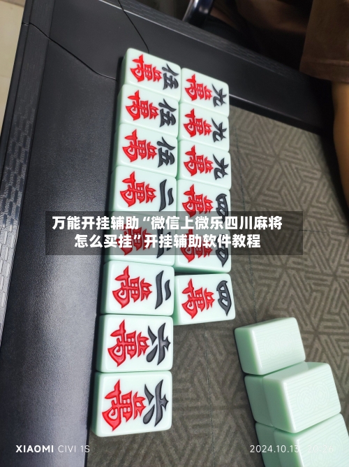 万能开挂辅助“微信上微乐四川麻将怎么买挂”开挂辅助软件教程-第2张图片