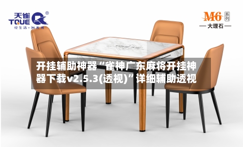 开挂辅助神器“雀神广东麻将开挂神器下载v2.5.3(透视)”详细辅助透视-第3张图片
