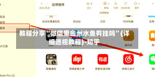 教程分享“微信里金州水鱼有挂吗”(详细透视教程)-知乎