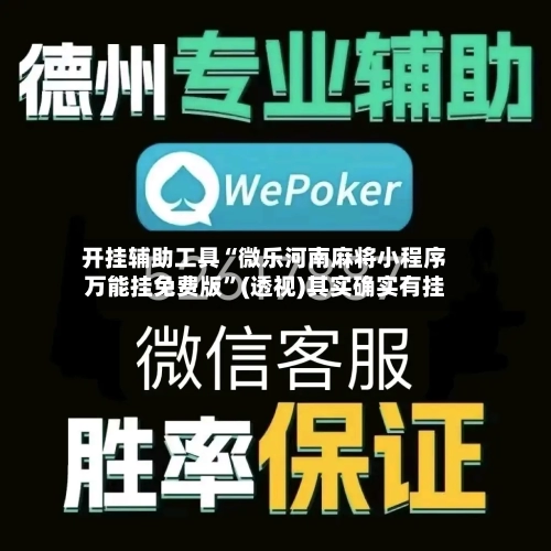 开挂辅助工具“微乐河南麻将小程序万能挂免费版”(透视)其实确实有挂-第3张图片