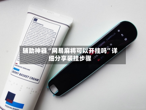 辅助神器“网易麻将可以开挂吗”详细分享装挂步骤-第3张图片