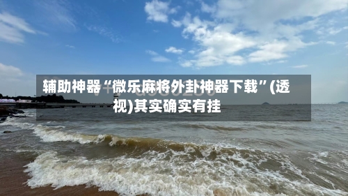 辅助神器“微乐麻将外卦神器下载”(透视)其实确实有挂-第3张图片