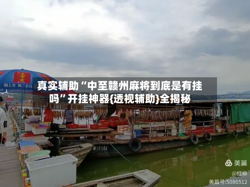 真实辅助“中至赣州麻将到底是有挂吗”开挂神器{透视辅助}全揭秘-第3张图片