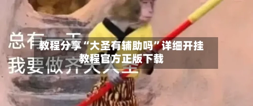 教程分享“大圣有辅助吗”详细开挂教程官方正版下载