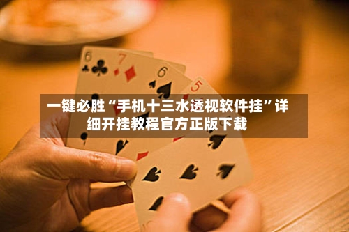 一键必胜“手机十三水透视软件挂”详细开挂教程官方正版下载-第2张图片