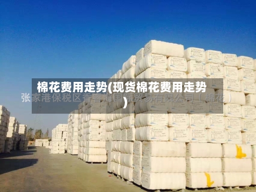 棉花费用走势(现货棉花费用走势)