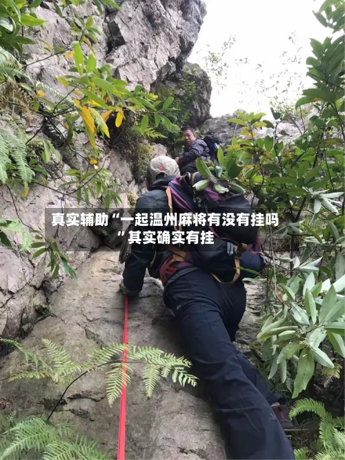 真实辅助“一起温州麻将有没有挂吗	”其实确实有挂-第3张图片