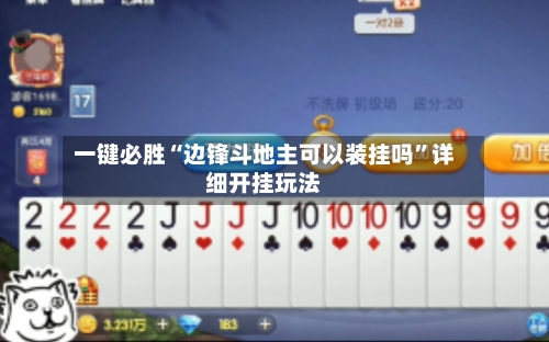 一键必胜“边锋斗地主可以装挂吗	”详细开挂玩法-第2张图片