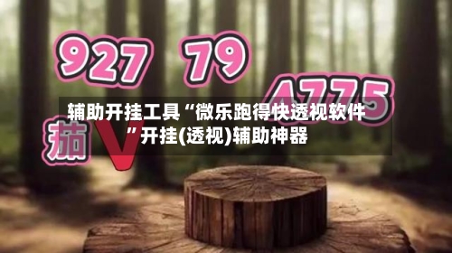 辅助开挂工具“微乐跑得快透视软件”开挂(透视)辅助神器-第2张图片