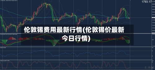 伦敦锡费用最新行情(伦敦锡价最新今日行情)