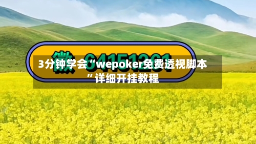 3分钟学会“wepoker免费透视脚本”详细开挂教程-第2张图片