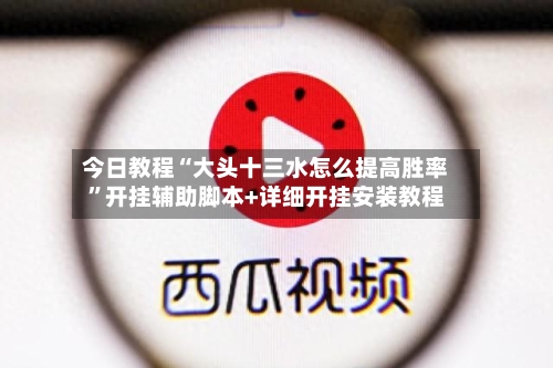 今日教程“大头十三水怎么提高胜率”开挂辅助脚本+详细开挂安装教程-第2张图片